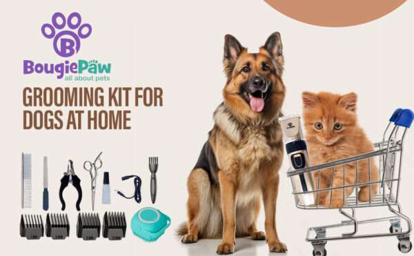 Cortapelos para perros, silencioso, recargable y con peines ajustables.