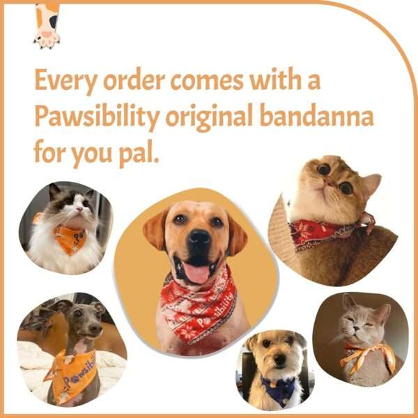 Cortauñas para perros y gatos con luz LED, recargable.