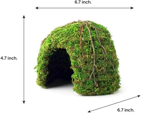 Escondite de resina con diseño de esquina (17x17x11 cm) que mantiene la humedad, ideal para reptiles y anfibios de selva.