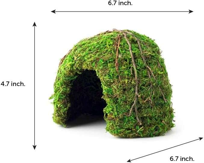 Escondite de resina con diseño de esquina (17x17x11 cm) que mantiene la humedad, ideal para reptiles y anfibios de selva.