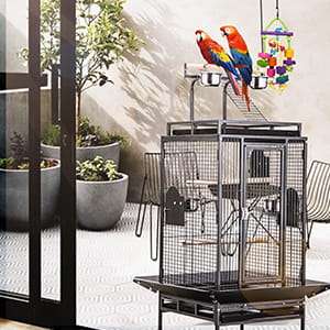 Jaula Grande de Acero con Ruedas para Loros y Guacamayos de 190x65x65 Cm - Imagen 6