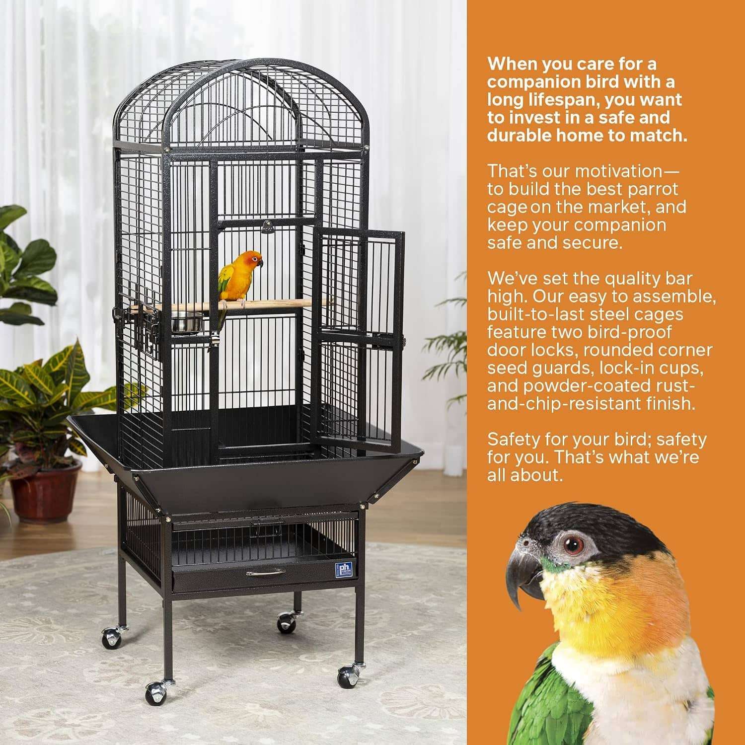Jaula de domo de hierro forjado para loros.