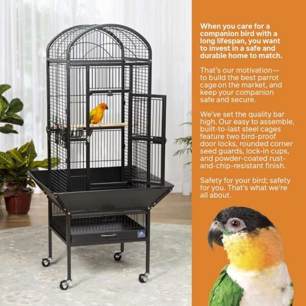 Jaula de domo de hierro forjado para loros.