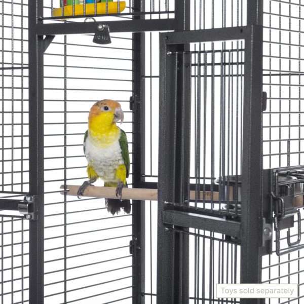Jaula de domo de hierro forjado para loros.