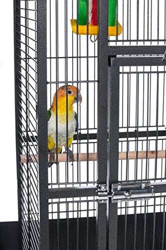 Jaula de domo de hierro forjado para loros.