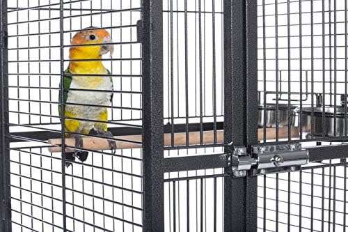 Jaula de domo de hierro forjado para loros.