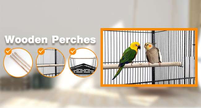 Jaula de hierro forjado para loros con techo abierto.