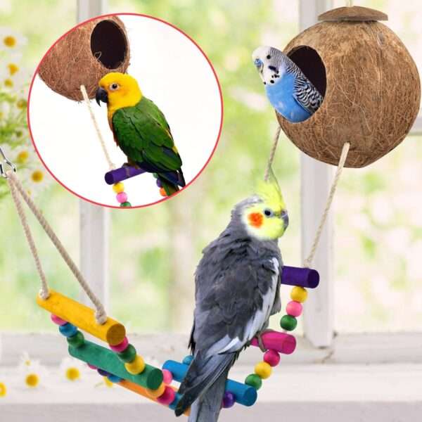 Kit de juguetes de madera para loros. Incluye columpios y accesorios para jaula.