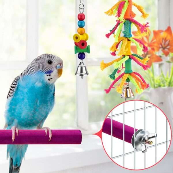 Kit de juguetes de madera para loros. Incluye columpios y accesorios para jaula.