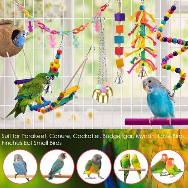 Kit de juguetes de madera para loros. Incluye columpios y accesorios para jaula.