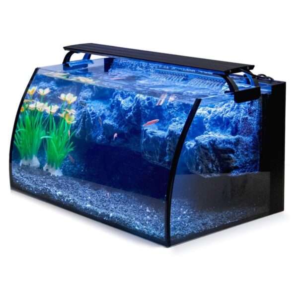 Kit acuario de vidrio curvo de 8 galones (48x30x24 cm). Incluye fondo 3D de montaña rocosa no desmontable, filtro interno de 7W y luz LED multimodo con controlador digital.