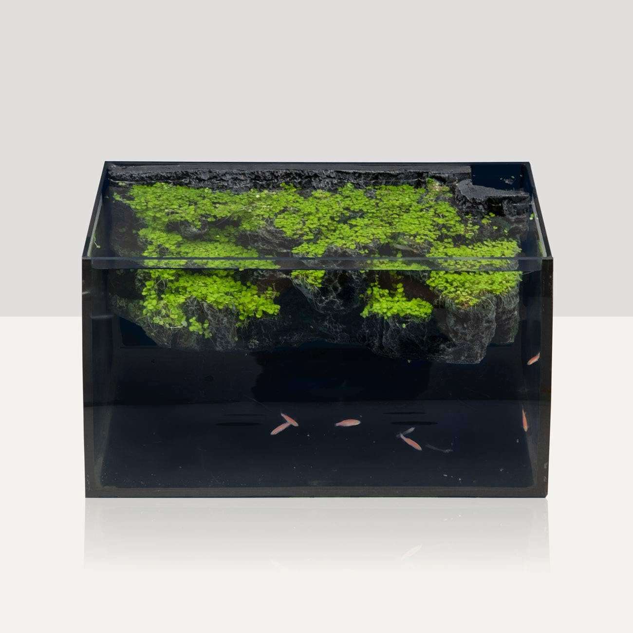 Kit acuario de vidrio curvo de 8 galones (48x30x24 cm). Incluye fondo 3D de montaña rocosa no desmontable, filtro interno de 7W y luz LED multimodo con controlador digital.