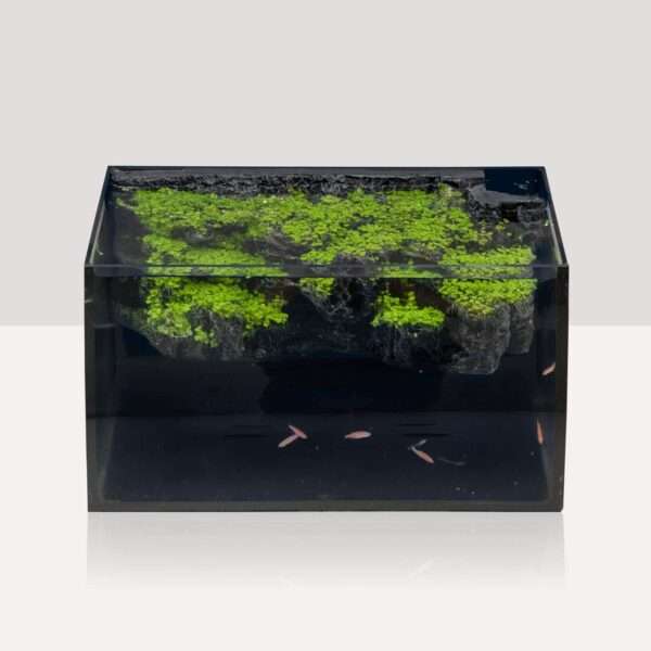 Kit acuario de vidrio curvo de 8 galones (48x30x24 cm). Incluye fondo 3D de montaña rocosa no desmontable, filtro interno de 7W y luz LED multimodo con controlador digital.