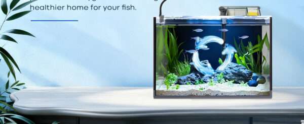 Kit acuario de vidrio HD de 10 galones (50x25x31 cm) con calentador delgado, filtro Hang on Back, luz LED y herramientas de limpieza 5 en 1. Ideal para peces tropicales.