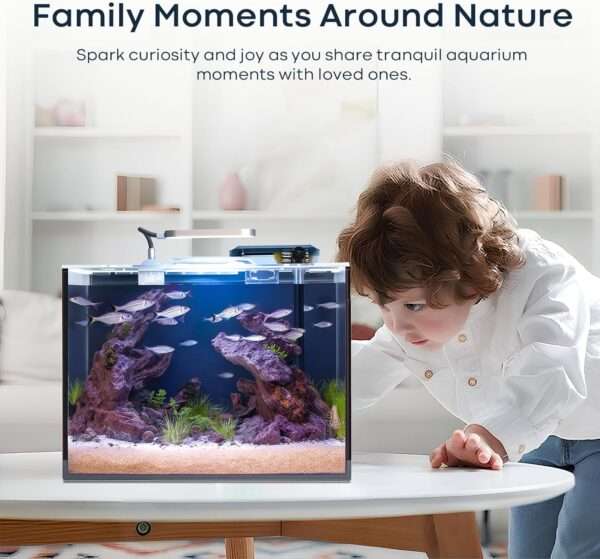 Kit acuario de vidrio HD de 6 galones (40x20x30 cm). Incluye calentador para peces tropicales, filtro HOB avanzado, luz COB, sustrato y rocas de decoración.