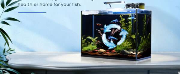 Kit acuario de vidrio HD de 6 galones (40x20x30 cm). Incluye calentador para peces tropicales, filtro HOB avanzado, luz COB, sustrato y rocas de decoración.