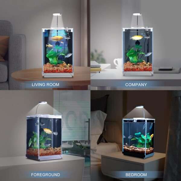 Kit Acuario de vidrio sin borde 2-3 galones (20x18x30 cm). Filtro inferior oculto ultra silencioso, luz LED brillante, grava, rocas y plantas artificiales para acuarios bettas.