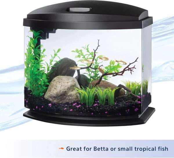 Acuario de inicio completo (36x25x34 cm) con sistema de auto-limpieza patentado. Incluye filtro de potencia, campana y base elevada. Ideal para principiantes.