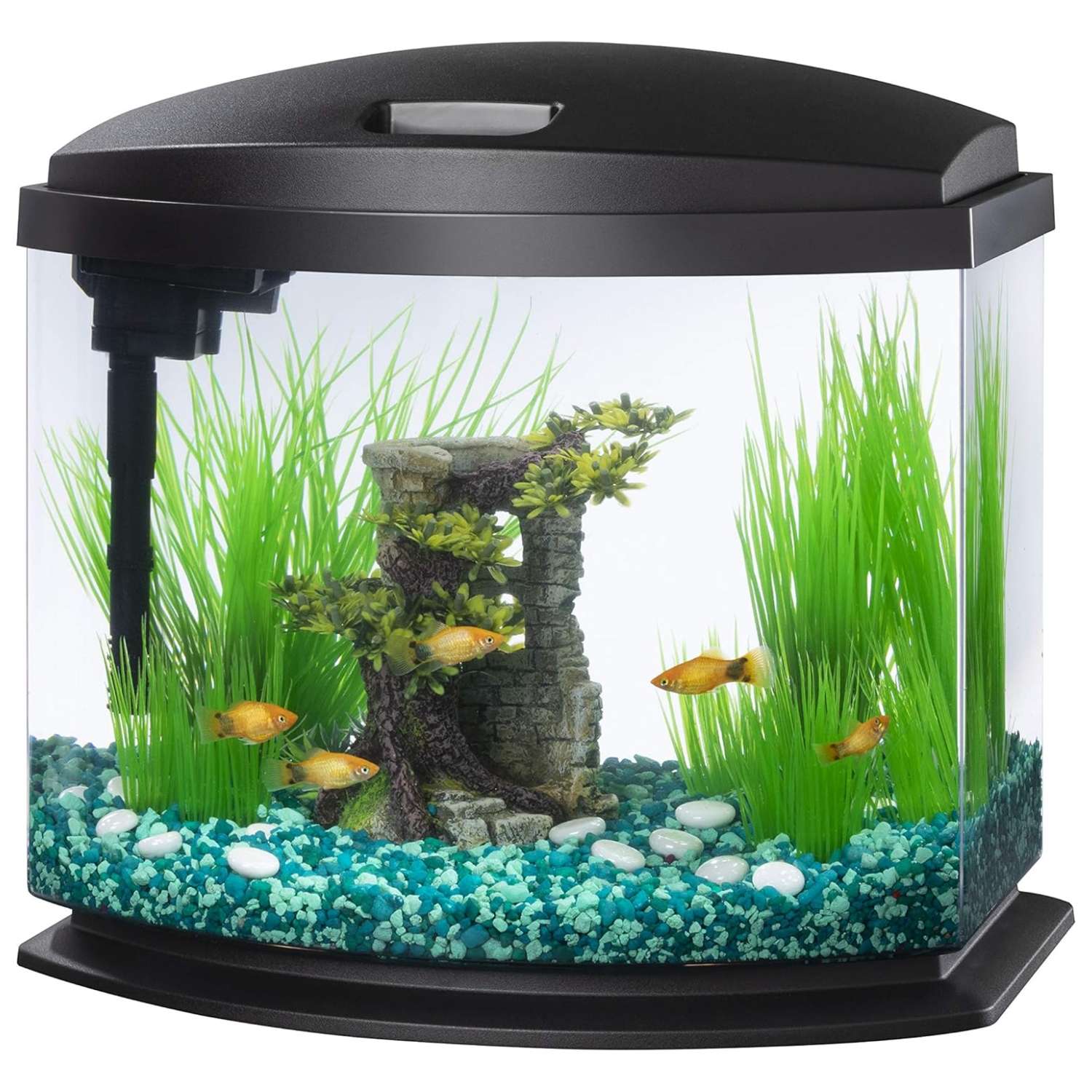 Acuario de inicio completo (36x25x34 cm) con sistema de auto-limpieza patentado. Incluye filtro de potencia, campana y base elevada. Ideal para principiantes.