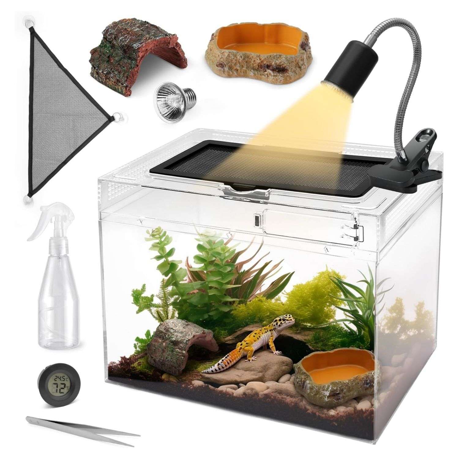 Un kit completo de inicio para reptiles, mostrando un terrario de policarbonato, una lámpara, pinzas y otros 5 accesorios esenciales.