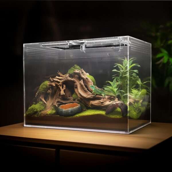Un kit completo de inicio para reptiles, mostrando un terrario de policarbonato, una lámpara, pinzas y otros 5 accesorios esenciales.