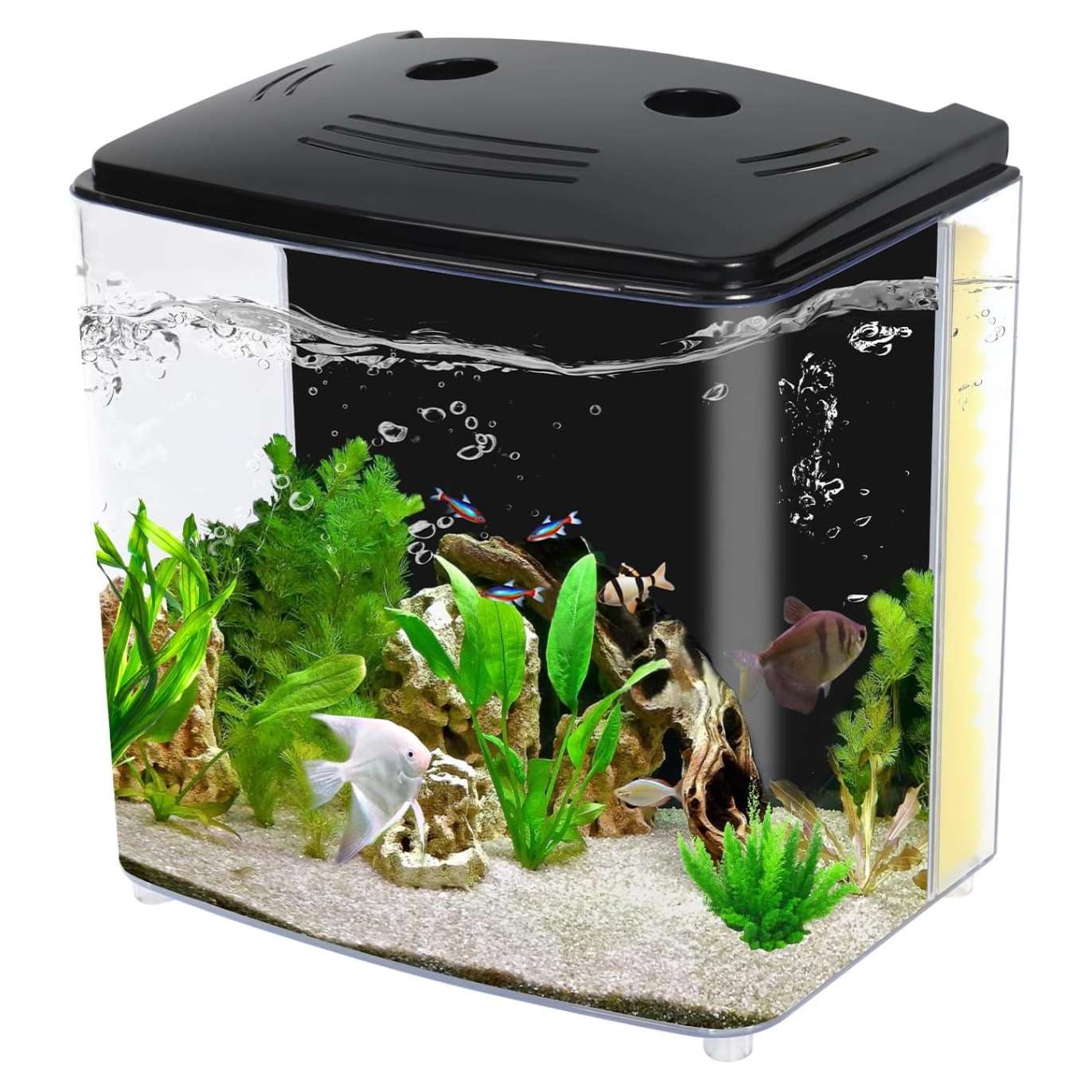 Mini pecera de escritorio 1.2 galones (20x13x18 cm) con tapa y luz LED. Incluye filtro de agua y plantas artificiales. Ideal para peces betta, caracoles y principiantes.