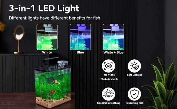 Pecera de inicio de plástico PET de 1.5 galones (22x15x25 cm). Incluye bomba silenciosa, luz LED tricolor USB y planta de plástico. Ideal para peces beta.