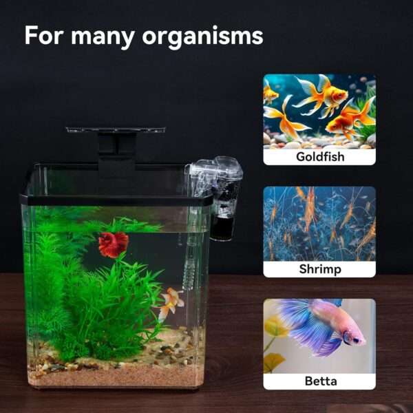 Pecera de inicio de plástico PET de 1.5 galones (22x15x25 cm). Incluye bomba silenciosa, luz LED tricolor USB y planta de plástico. Ideal para peces beta.