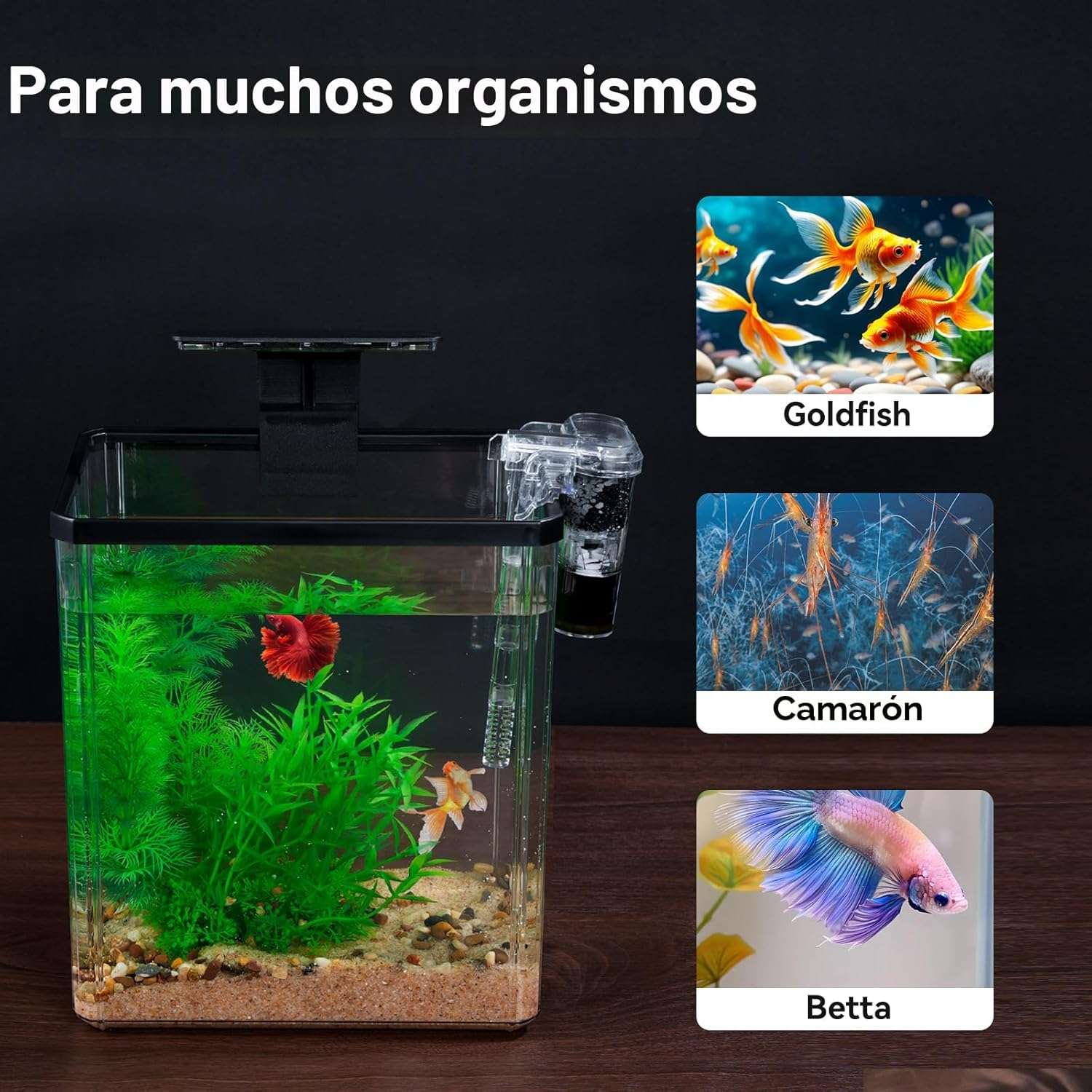Kit de acuario completo de plastico resistente con luz LED y bomba silenciosa para peces betta.