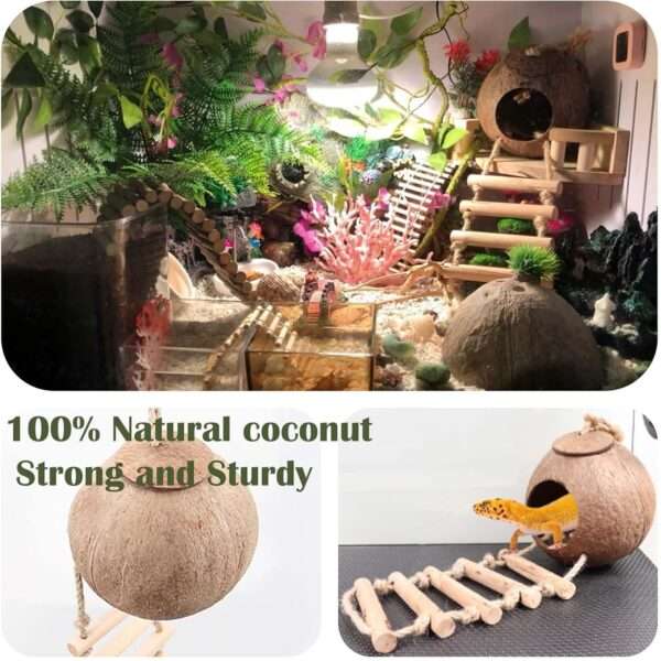 Kit de 10 accesorios para terrario de reptiles, con cabaña de coco natural, puente flexible y enredaderas decorativas.