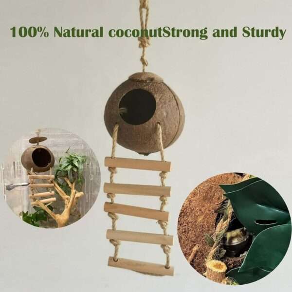 Kit de 10 accesorios para terrario de reptiles, con cabaña de coco natural, puente flexible y enredaderas decorativas.
