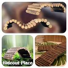 Kit de 10 accesorios para terrario de reptiles, con cabaña de coco natural, puente flexible y enredaderas decorativas.