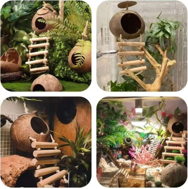 Kit de 10 accesorios para terrario de reptiles, con cabaña de coco natural, puente flexible y enredaderas decorativas.