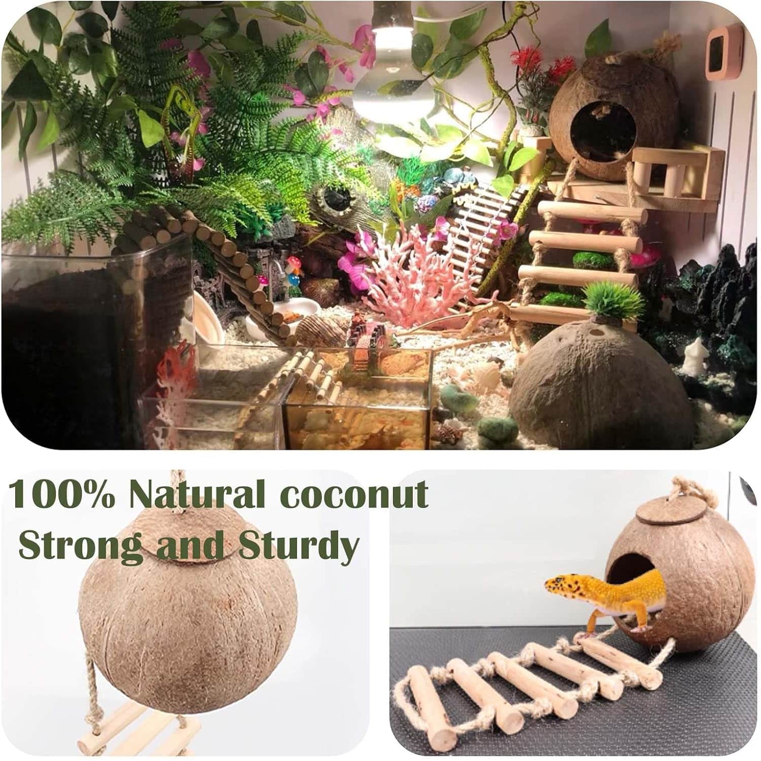 Kit de 10 accesorios para terrario de reptiles, con cabaña de coco natural, puente flexible y enredaderas decorativas.