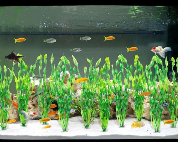Kit de 10 algas artificiales verdes de 30 cm con base de cerámica, suaves y no tóxicas para acuarios.