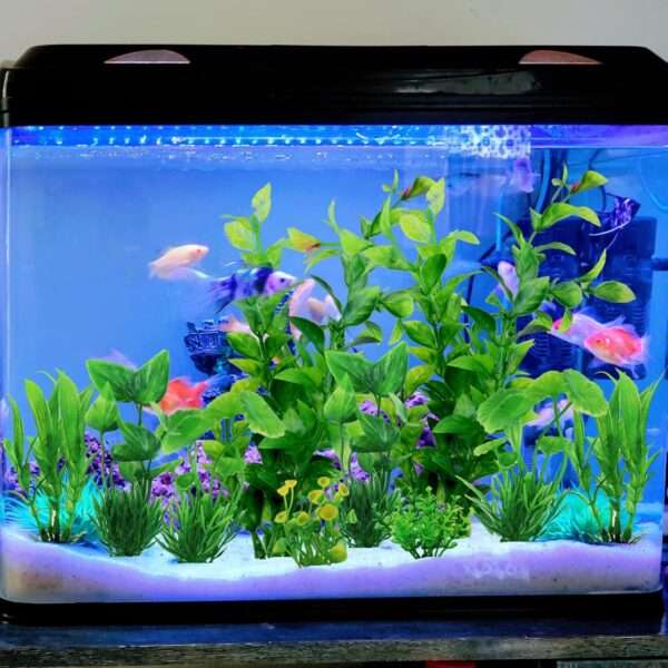 Kit de 10 plantas artificiales verdes para acuario con base pesada, incluye tamaños de 12 cm a 20 cm.