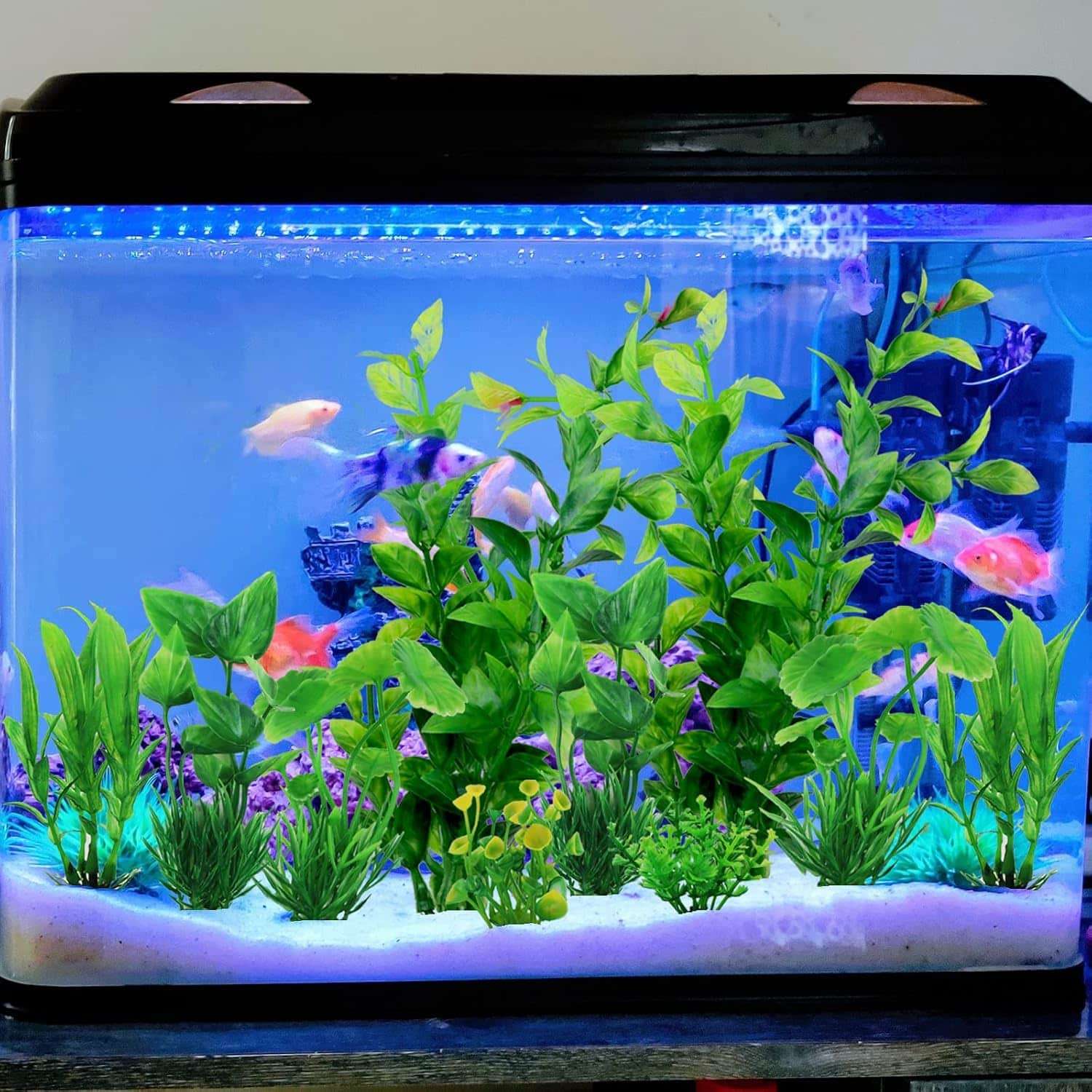 Kit de 10 plantas artificiales verdes para acuario con base pesada, incluye tamaños de 12 cm a 20 cm.