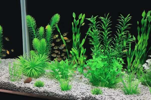 Kit de 20 plantas artificiales verdes (5 a 30 cm) con base de cerámica para acuarios grandes.