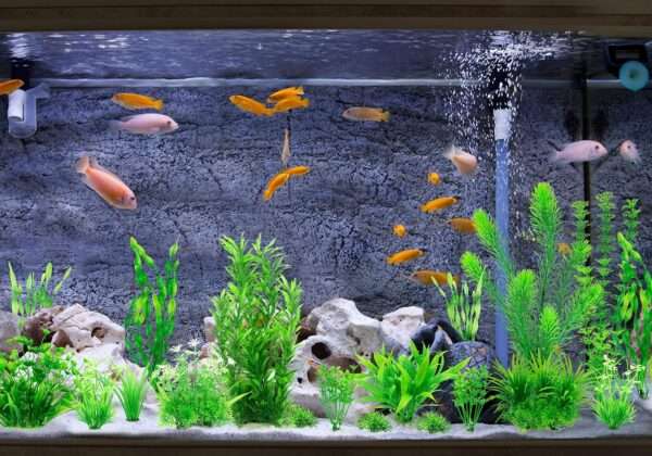Kit de 20 plantas artificiales verdes (5 a 30 cm) con base de cerámica para acuarios grandes.