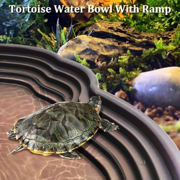 Un kit de 7 accesorios para terrario, que incluye una piscina de plástico con rampa y un set de dos cuencos y plantas artificiales.
