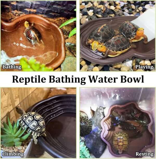 Un kit de 7 accesorios para terrario, que incluye una piscina de plástico con rampa y un set de dos cuencos y plantas artificiales.