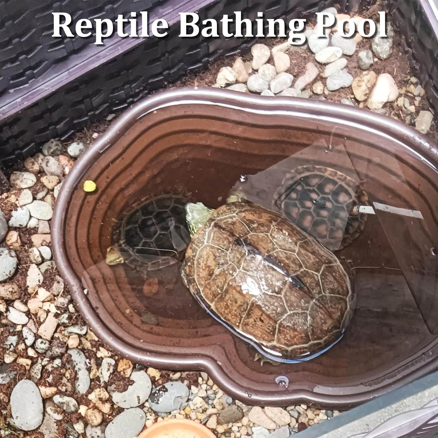 Un kit de 7 accesorios para terrario, que incluye una piscina de plástico con rampa y un set de dos cuencos y plantas artificiales.
