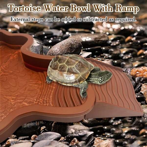 Un kit de 7 accesorios para terrario, que incluye una piscina de plástico con rampa doble desmontable y dos cuencos para comida y agua.