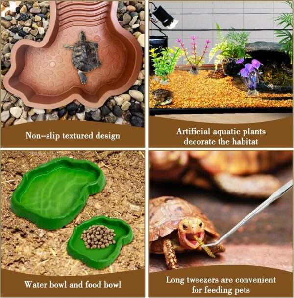 Un kit de 7 accesorios para terrario, que incluye una piscina de plástico con rampa doble desmontable y dos cuencos para comida y agua.