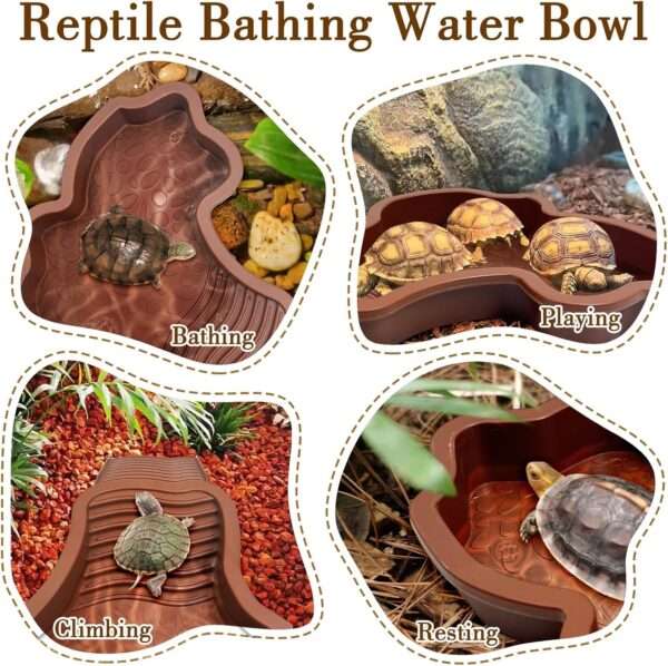 Un kit de 7 accesorios para terrario, que incluye una piscina de plástico con rampa doble desmontable y dos cuencos para comida y agua.