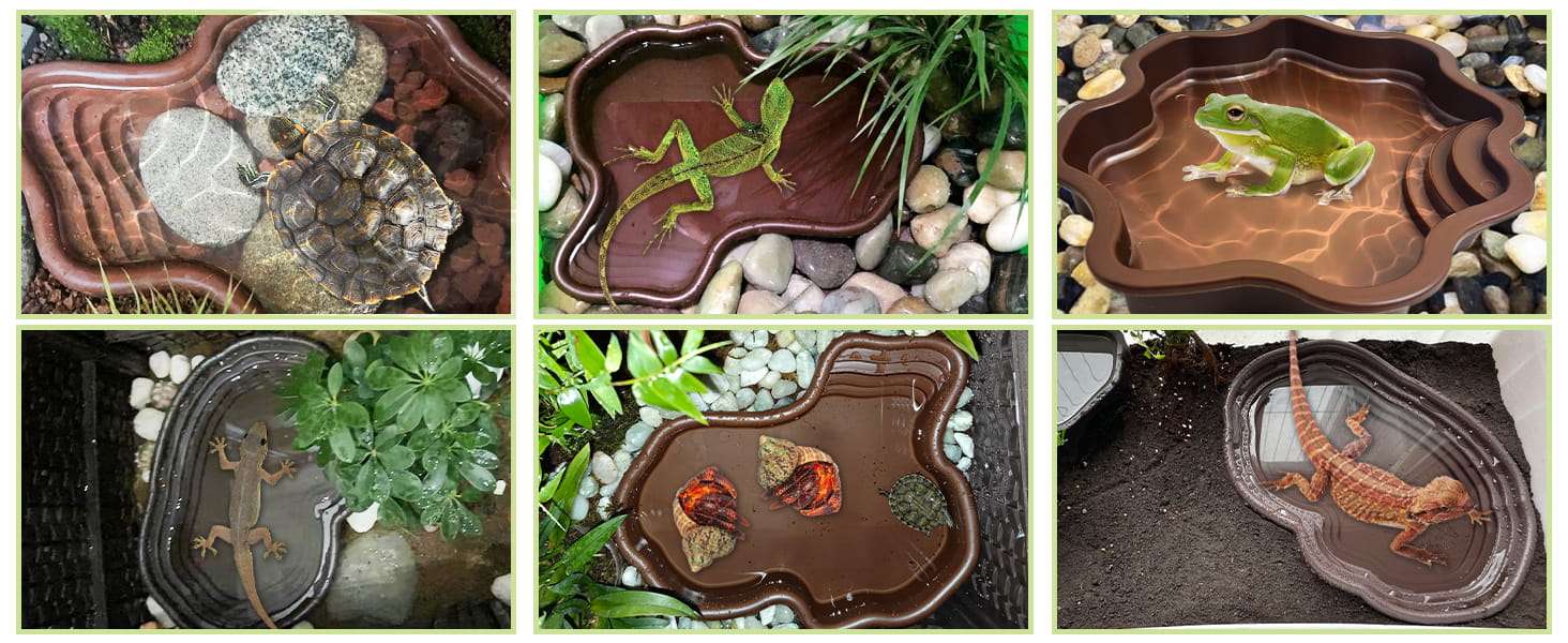 Un kit de 7 accesorios para terrario, que incluye una piscina de plástico con rampa doble desmontable y dos cuencos para comida y agua.