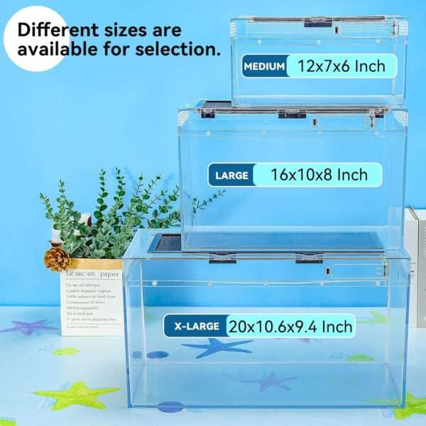 Un kit completo de acuario para tortugas, mostrando un tanque de policarbonato con filtro, lámpara, plataforma y una vista de alta definición.