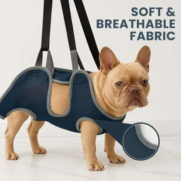 Kit de aseo completo con hamaca para perros y gatos.