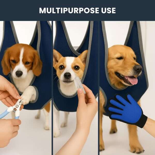 Kit de aseo completo con hamaca para perros y gatos.