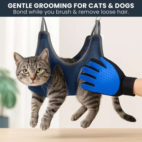 Kit de aseo completo con hamaca para perros y gatos.